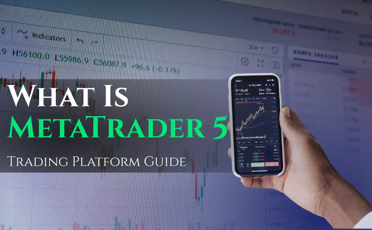 What Is MetaTrader 5? Beginner's Guide and Tutorial