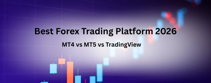 Best Forex Trading Platform in 2026 | Top Options